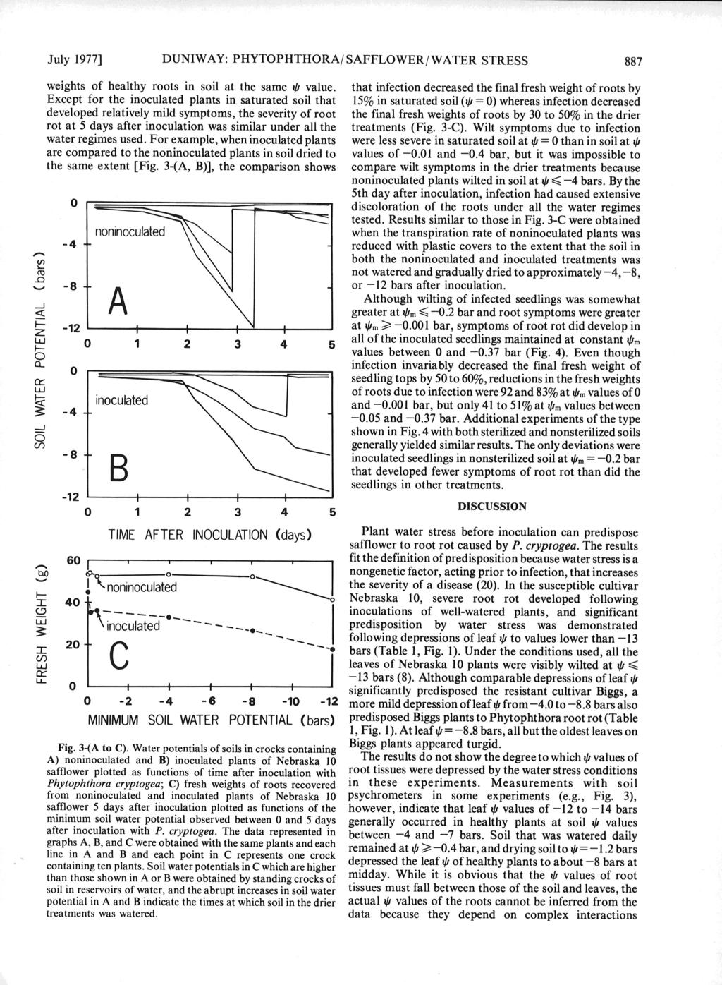 July 1977] DUNWAY: PHYTOPHTHORA/ SAFFLOWER/ WATER STRESS weights of healthy roots in soil at the same i# value, Except for the inoculated plants in saturated soil that developed relatively mild