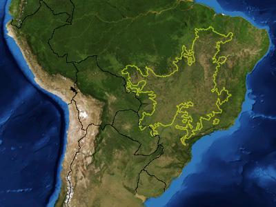 1-18 4-15 2 million km 2 Cerrado: the Brazilian Savanna 40% has been converted to agriculture or pasture African