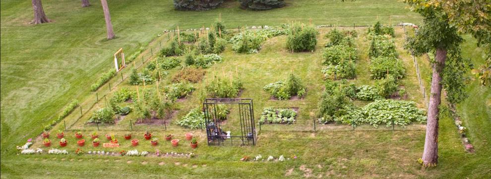 We are working to establish a network of community research gardens Each bed in the garden is an experimental plot Developing a multi-state