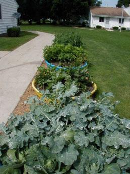 Some best management practices (BMPs) for urban gardening Use mulch or other soil covers Create physical