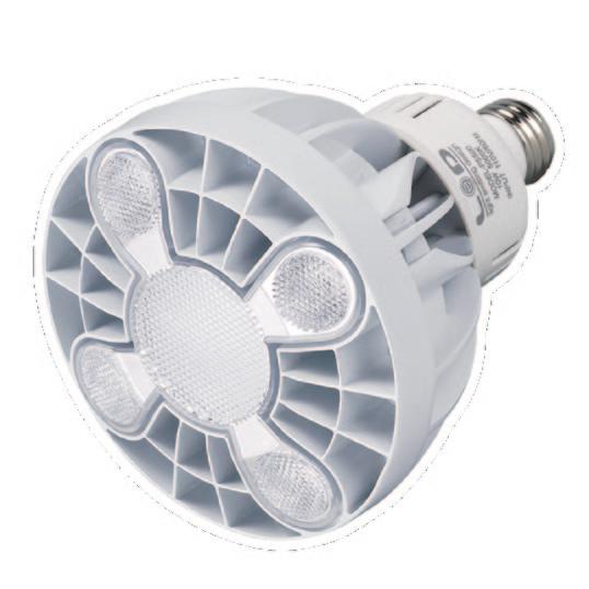 Product Information P5500 is a high output PAR 38 LED lamp with