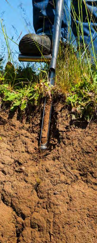 ASSESSMENT: SAMPLING Correct soil sampling is the first step in the process.