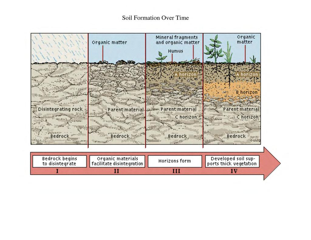 DEFINITIONS General Regional Site Specific Soil Weathering