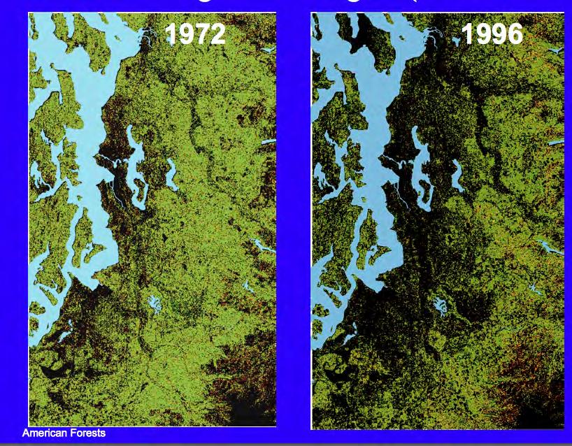 REALITY Change in tree canopy cover [src