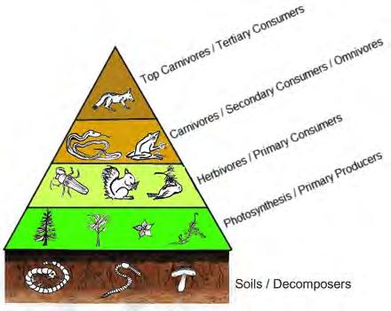 DEFINITIONS General Regional Site Specific Soil Health the continued capacity of soil to function as a vital living system, within ecosystem and land use boundaries, to sustain