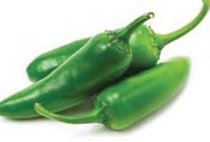 204 Jalapeño Peppers* $2.50 Single Jalapeno. Plants are in 4 containers, very healthy and ready for planting.