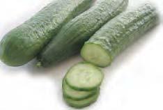 50 Single A great slicing cucumber that stays slender and dark green. Great for fresh eating or for salads.