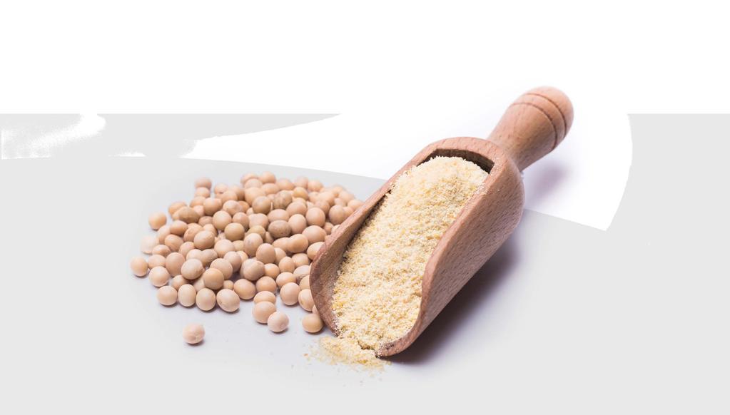vegetable protein 7 Protein manufacturing A vegetable protein manufacturing process essentially comprises protein extraction, purification, and drying, whether that process is used to make a