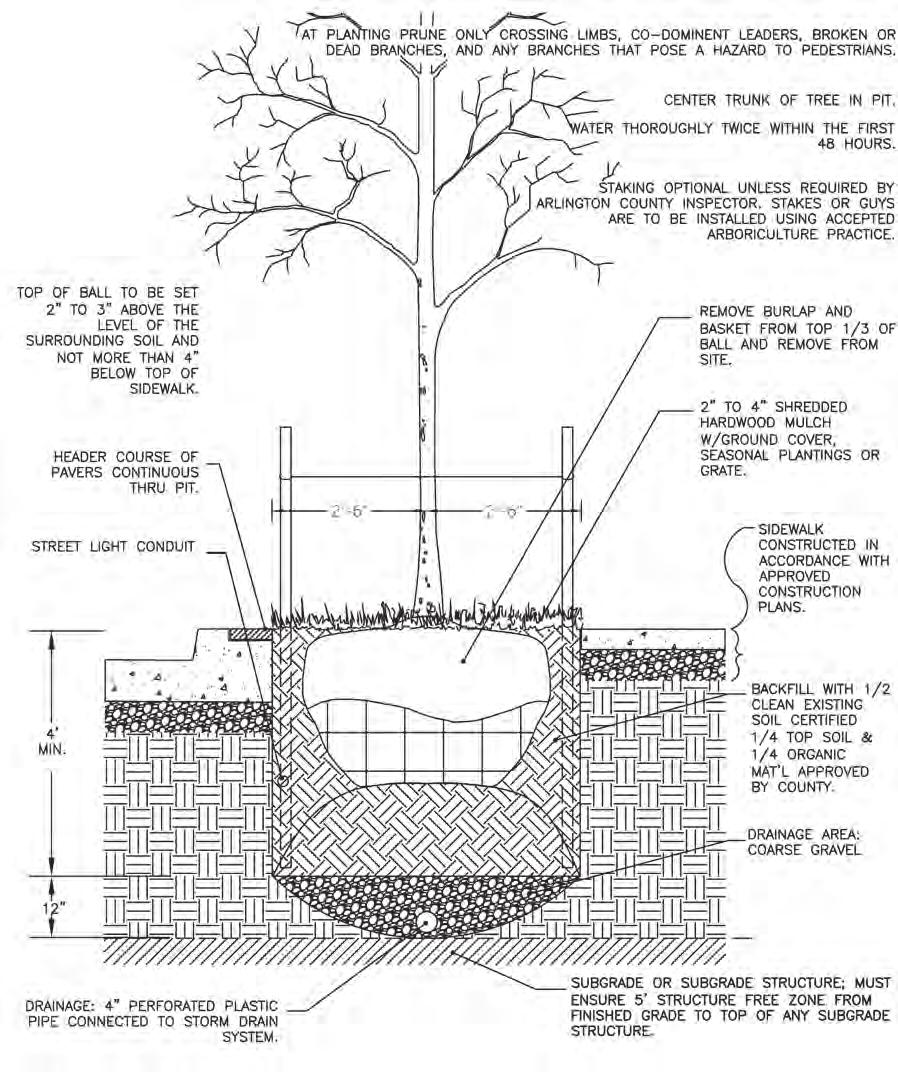 TREE PLANTING SECTIONS LANDSCAPE WILL BE UPDATED WHEN LANDSCAPE DESIGN IS FINALIZED