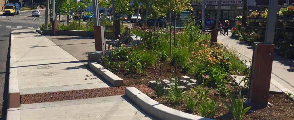 Key Green Street Elements 7.3 This green street demonstration site features a rain garden as part of a new parkette, that was derived from excess roadway space at Fairford Ave. and Coxwell Ave.