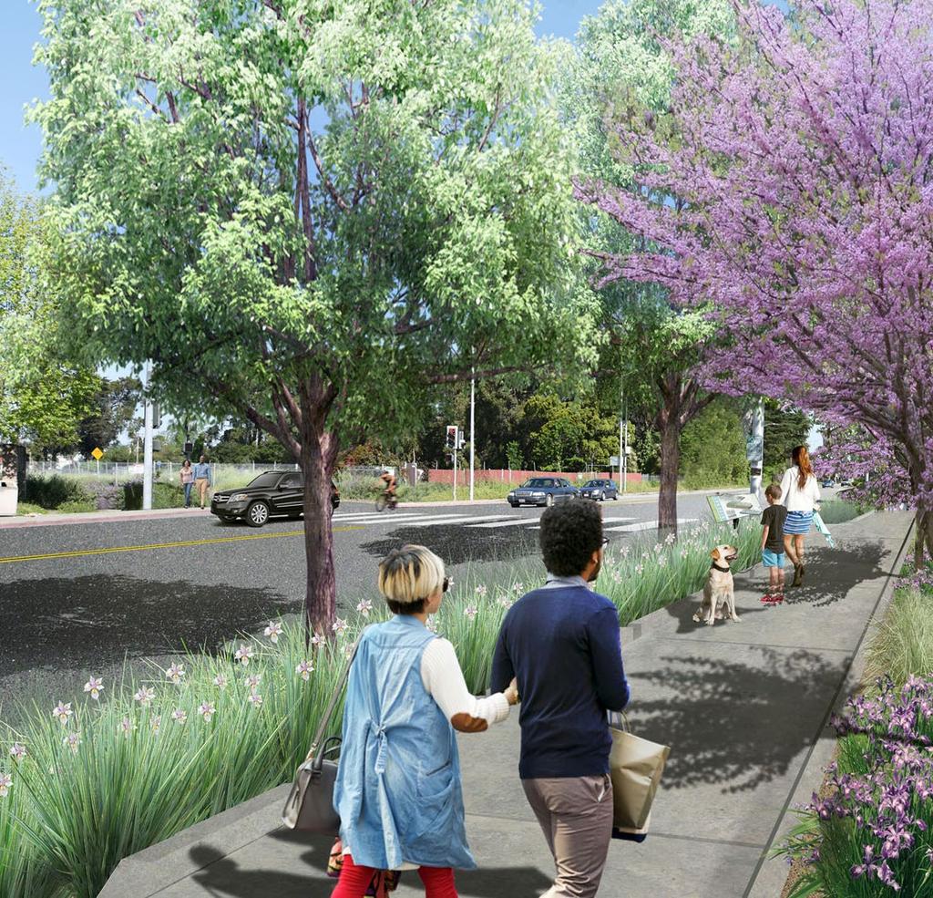 Green Streets Sustainable Stormwater Solutions for Greener Communities and a Cleaner Bay As the Bay Area continues to grow through development of