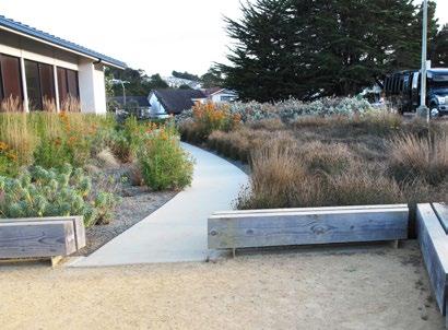 Improved water quality Serramonte Main Branch Library Stormwater Treatment Gardens Daly City This project in Daly City created extended rain gardens, or