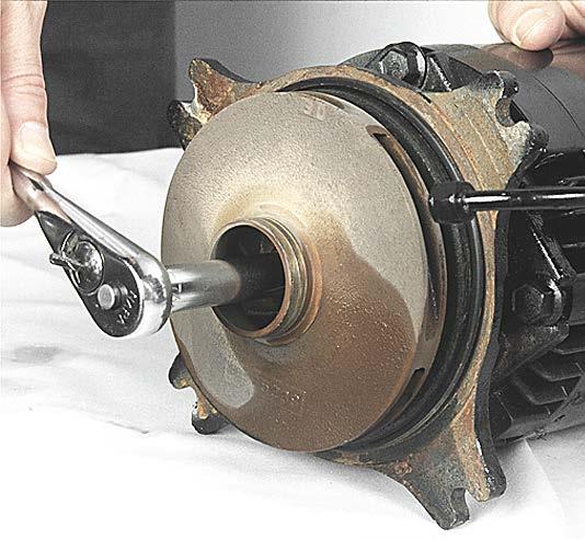 7. Separate the motor and motor adapter from the pump casing to expose the pump impeller (figure 5.5E).