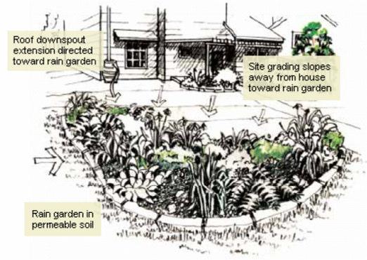 Figure 4-4 Rain Garden Layout Source: LID for