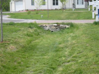 VEGETATED SWALE Definition Vegetated swales are open channel treatment practices that are designed to treat stormwater runoff.