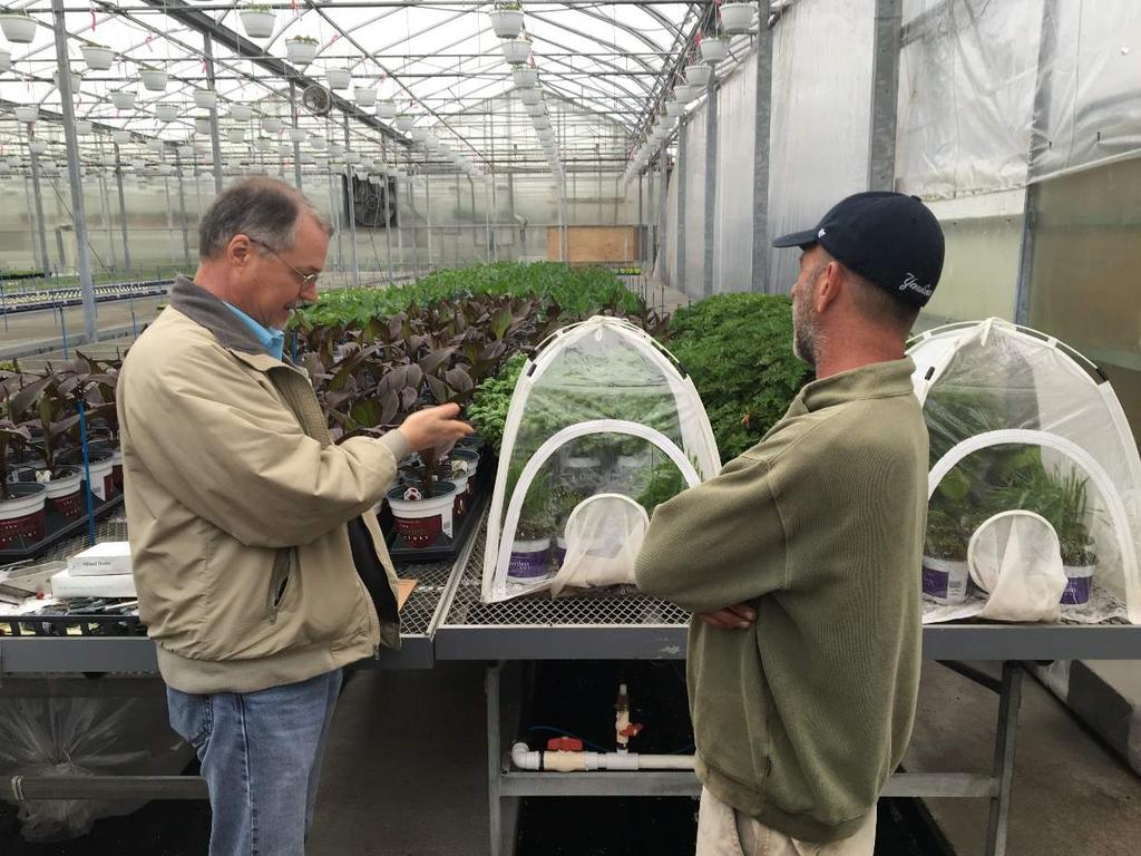 Reasons Why Growers Jump into Biocontrol Consumer