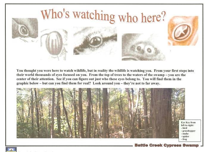 Here is a DRAFT interpretive panel for a watchable wildlife area. While it may not look like a draft, it was done on a computer using Microsoft Word.
