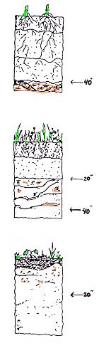 should cause one to observe the location of the test pit in the landscape and to look for other site characteristics, such as vegetation, that substantiate that the soil may be moderately well