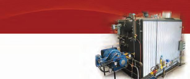 Solution builder in energy management Low Water Volume AQT Boiler Series Our revolutionary Low Water Volume Boiler, the Thermodesign AQT Series, is designed to bring industrial capacity to steam