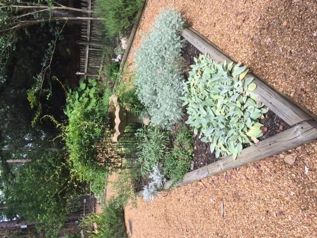 They returned in 1987 and built the Herb Garden centered by the bed that holds the fountain they donated to Hodges.