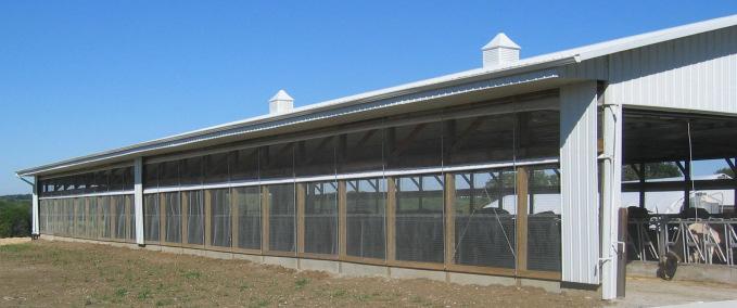 Tunnel Ventilated Barns Tie Stall or