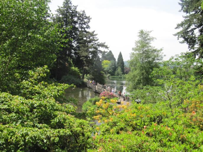 April Showers Bring Linac 3 to the May Flowers Historical Information: The Crystal Springs Rhododendron Garden, while not as widely known as the Chinese Garden or Japanese Garden, is a great place to