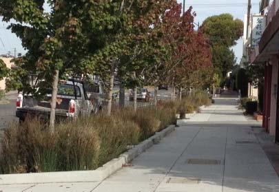 Green Infrastructure Plan The Green Infrastructure Plan should describe how the