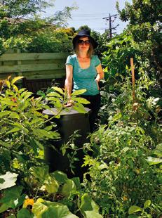 34 Sustainable Gardening in Darebin Tips for setting up and maintaining your vegetable patch 1.