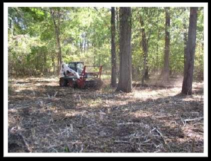 9 Mowing/Shredding Treatment timeframe: Early summer Equipment needed: Forestry cutter, bullhog Estimated cost/acre: $500-600/acre Treatment scale: Large (over 5 acres), trunk diameter greater than