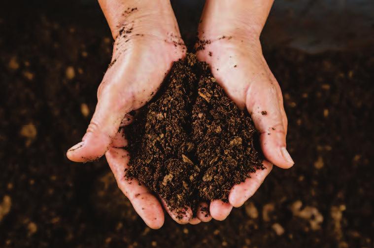 8 Build and Maintain Soil Health Soil Cultivation Techniques Getting to Know Your Soil and How to Manage It sandy and doesn t hold water? Or is it heavy, clay and prone to sogginess?