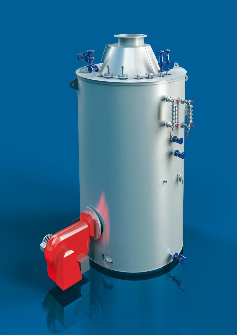 PARAT MPW Pin-Tube Boiler Capacity up to 6.