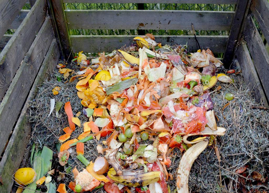 Choosing a compost bin Start by choosing the right compost bin for you. You need to consider: how much space you have, how much garden and household waste you have, and what your budget is.