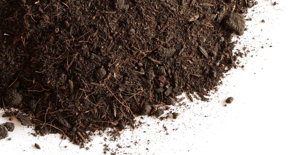 How to make compost Now you ve got the bin and the ingredients, it s time to start making your own compost!