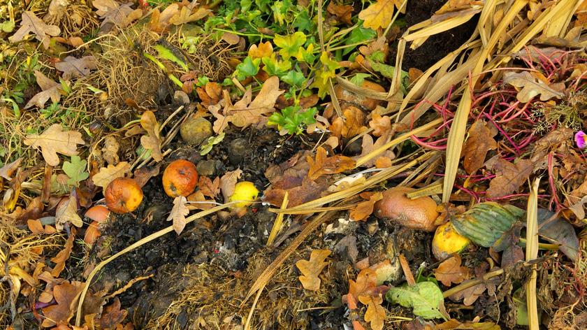 It s too wet/dry Composting Problems Too little moisture will slow down the composting process, and too much will turn it into a slimy mess. To check the moisture levels, turn it over with a fork.