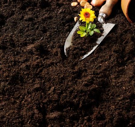 WHY SHOULD YOU COMPOST? Composting is a low-cost way to improve the health and appearance of your yard and garden.
