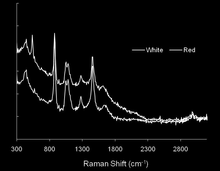 Bring Instrumentation to the Sample RamSpec TM -1 Raman Analyzer The RamSpec TM -1 performs measurements via a custom designed optical-fiber based Raman probe that can accommodate samples in liquid,