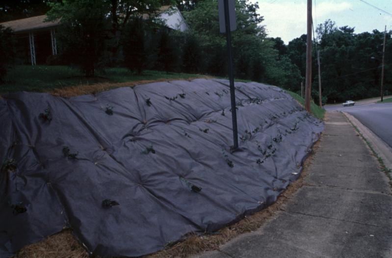 Weed Control Options: Landscape Fabric: Barrier to Weed Emergence Installation of fabric; barrier to weeds emergence but allows water and air to pass through Landscape Fabric - Barrier to weed