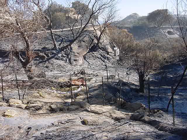 Outfall 004 (SRE) After 2005 Fire BMPs Damaged All vegetation around drainage heavily damaged.