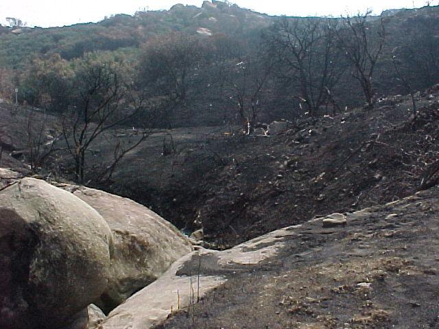 Hillsides along drainage covered in ash known to contain elevated
