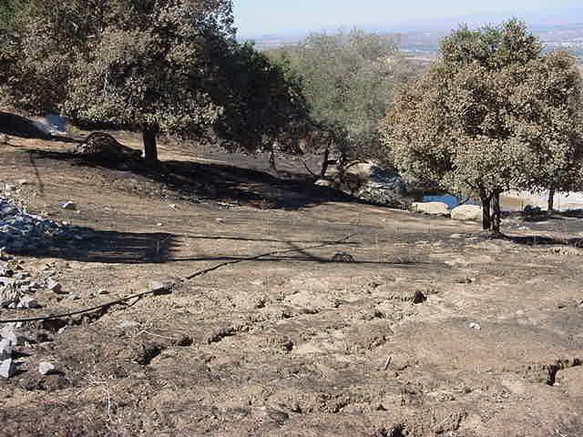 BMPs Damaged Outfall 010 (B203) After 2005 Fire All