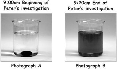 (b) Peter took photographs of the sweet in the beaker at the beginning and the end of his investigation.