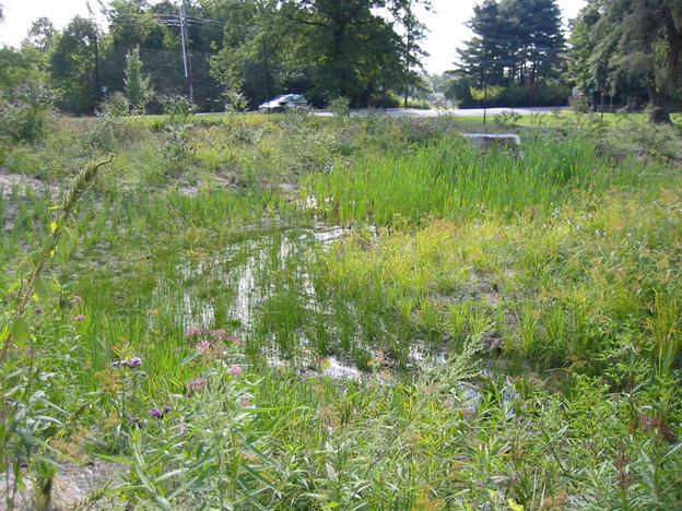By creating stormwater wetlands in areas that are currently underutilized lawn areas in parks, maintenance