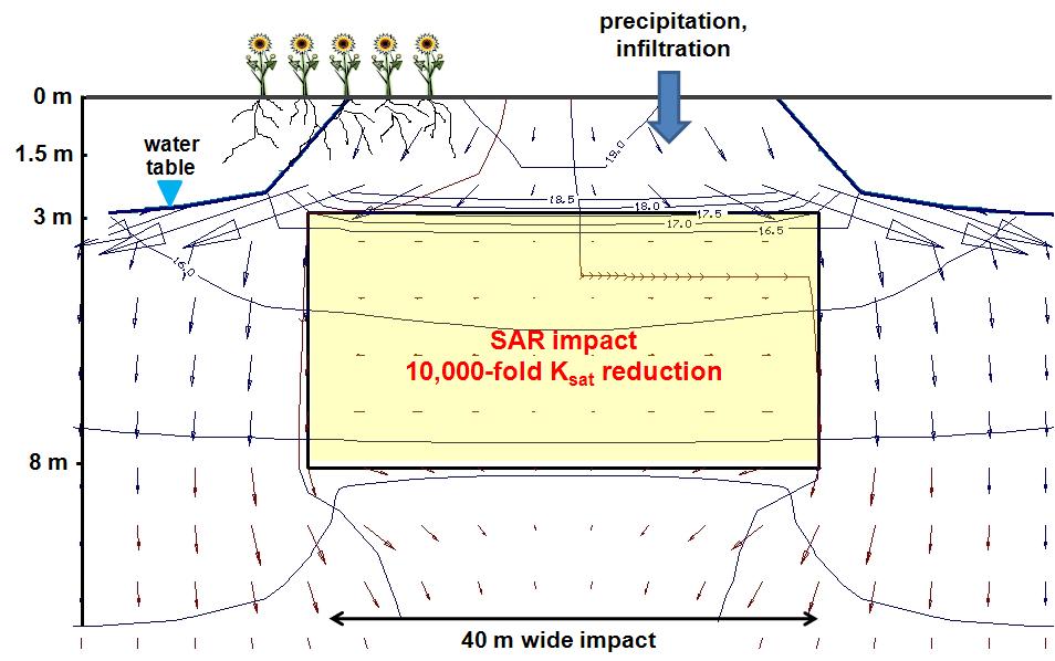 Modeling subsoil SAR effects (cont d) Here, shallower impact with 10,000-fold K sat reduction (10 4 ) causes severe root-zone