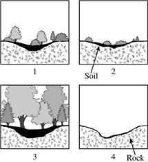 38 The diagrams above show an ecosystem during different stages of ecological succession.