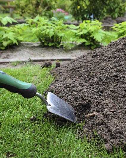 your lawn to foster healthy and robust soil topdressing Improve the soil