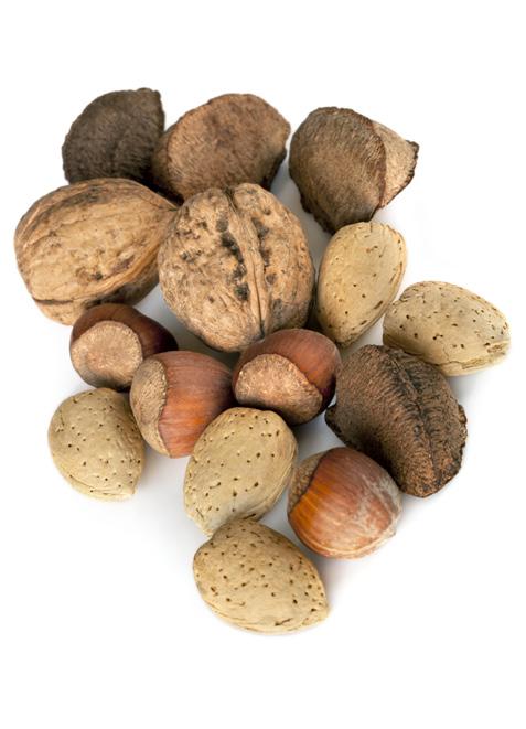 WN NO LIST Nuts, shells, bread,