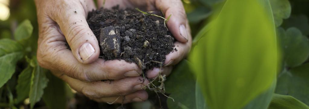 HARVESTING YOUR SOIL HOW DO I HARVEST THE SOIL? Compost can be harvested after about 4 to 6 months. You ll know it s ready when the soil is a crumbly moist texture and gives off an earthy aroma.