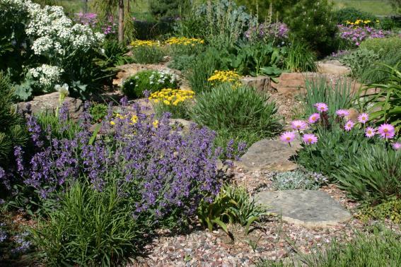 A philosophy of conservation of water through creative landscaping has coined the new term, xeriscape. Why Xeriscape?