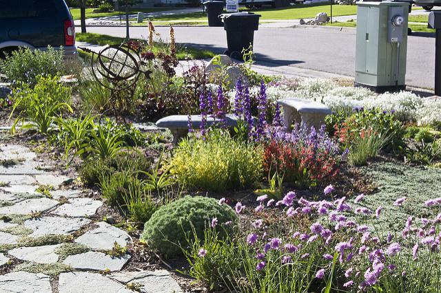 The following seven principles serve as a basic introduction to successful xeriscaping: By incorporating these seven principles, you can help preserve our most precious natural resource, water.