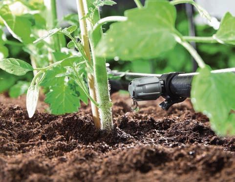 Step 2: Water distribution. a) Drip irrigation 2 Drip irrigation for single plants and plant rows. For drip irrigation, the water is distributed precisely and close to the roots.